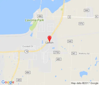 logo-image - lavon-tx